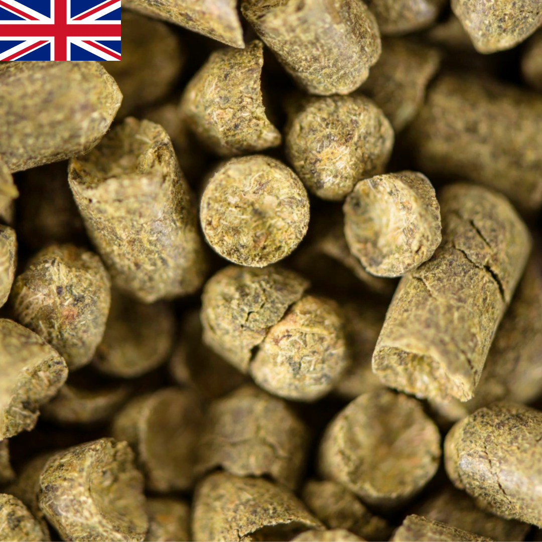 East Kent Goldings Hop Pellets East Kent Goldings Hop Pellets