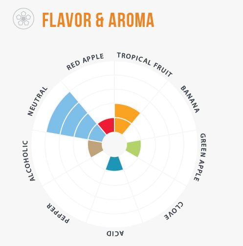 aroma-voss